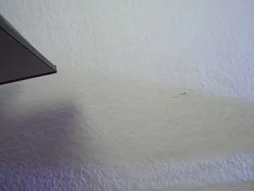 anal_pamela_squirt on Chaturbate 