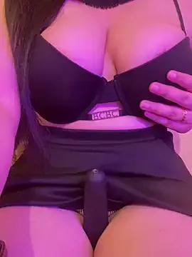 Cameelia — King of novembre  special gift