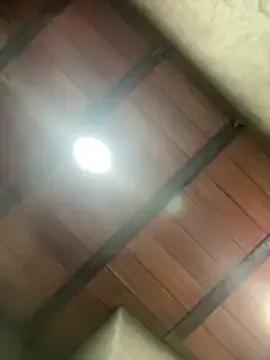 MollySanders___ on StripChat 