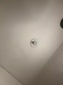 MollySanders___ on StripChat 