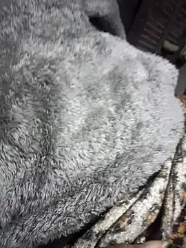 Puttacasada — Exibir