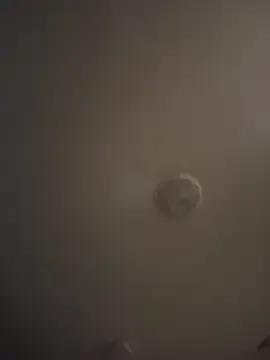 Realwetpussy — Put toy in ass and make it cum